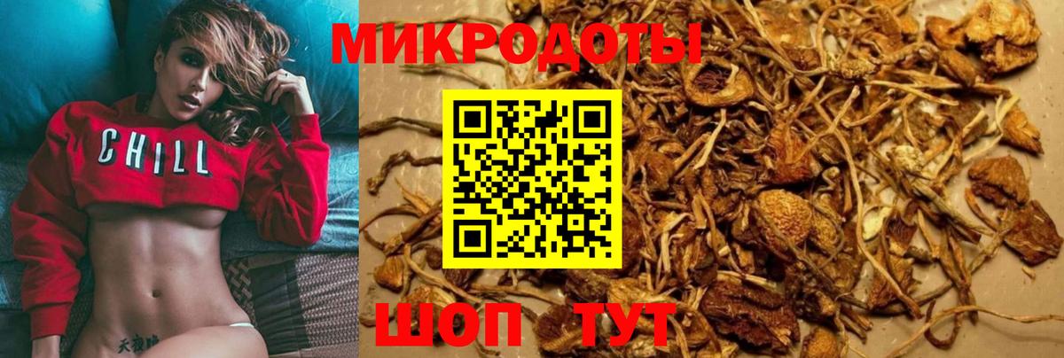 Галлюциногенные грибы GOLDEN TEACHER Балтийск