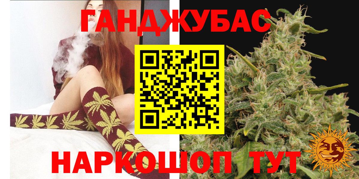 Конопля гибрид Балтийск